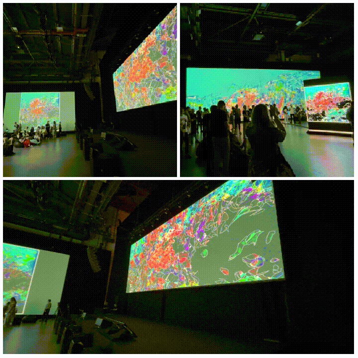 Chameleon (NFC 2024)